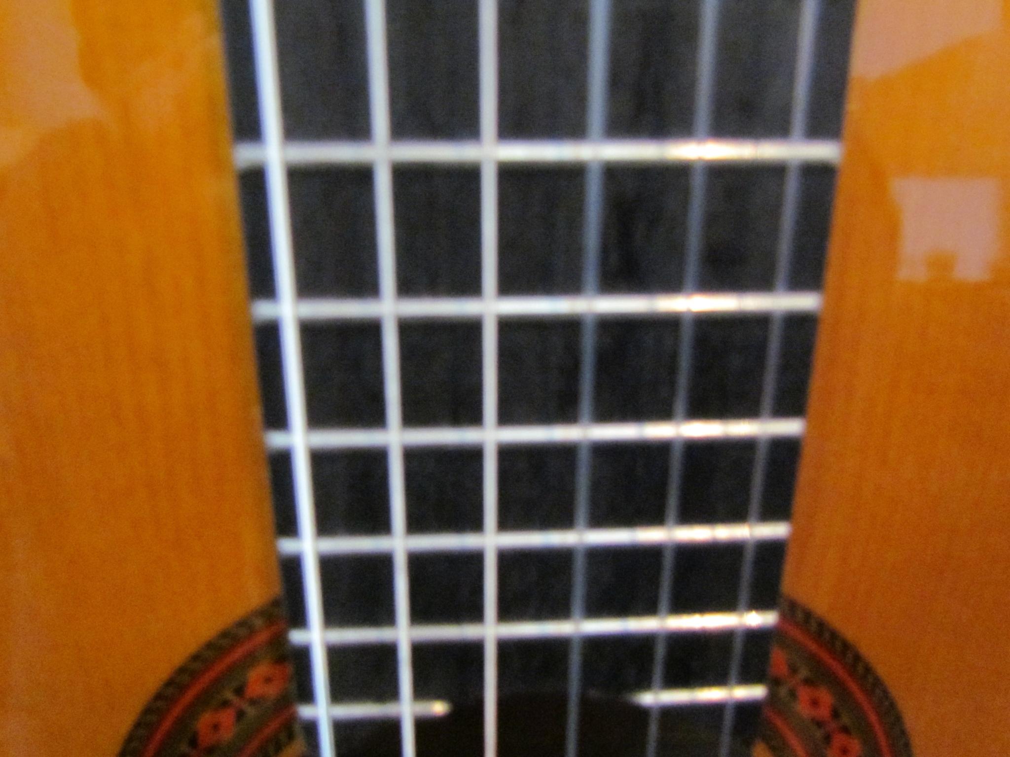 Instrumente-Gitarrensteg