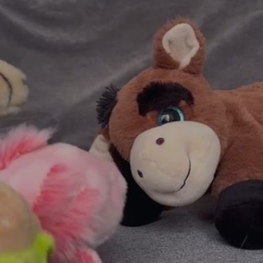 zwei Kuscheltiere