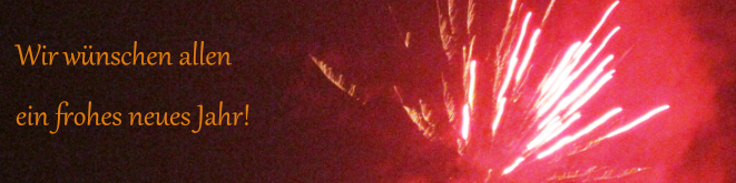 Rechteck: Worte 'Wir wünschen allen ein frohes neues Jahr, daneben Silvesterböller